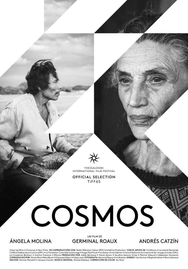 Cosmos