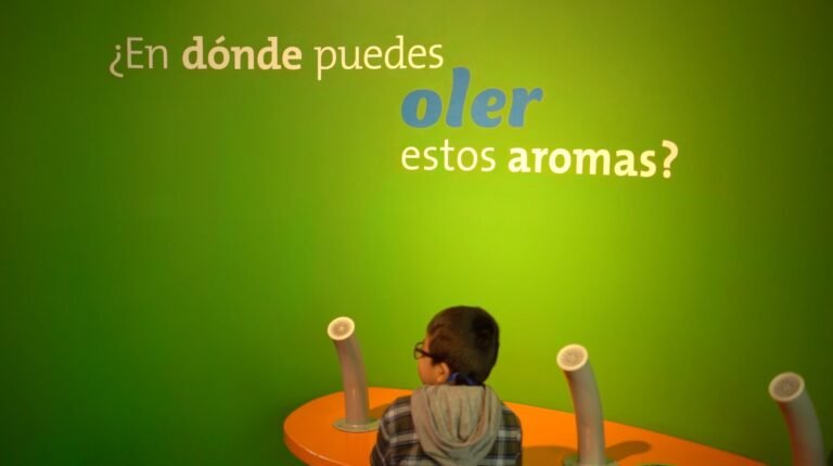 Papalote Museo del Niño inaugura dos nuevas exhibiciones sobre el cuerpo humano y la ciencia